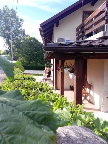 Guesthouse Marton Jezerce Extérieur photo